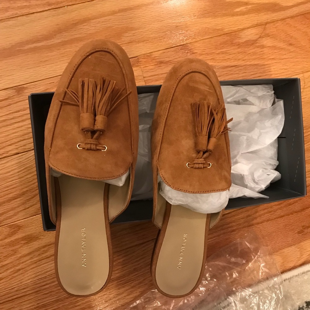 Ann Taylor suede slide, brown coffee